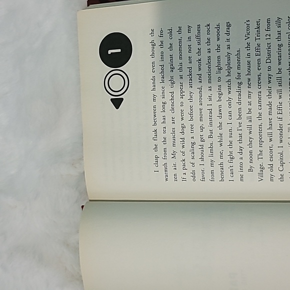 Catching Fire - Picture 5 of 5